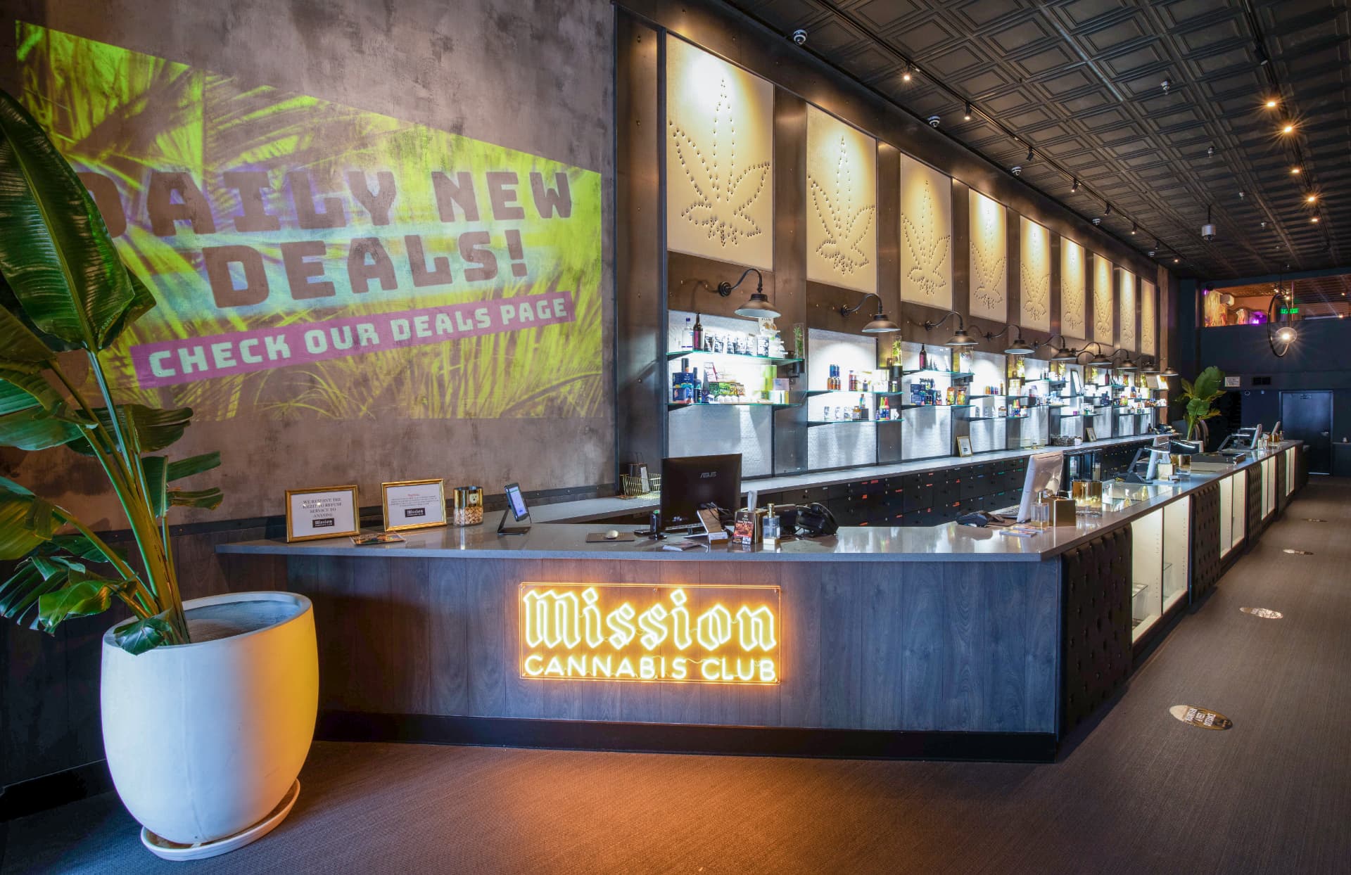 Inside Mission Cannabis Club's dispensary at 2441 Mission Street